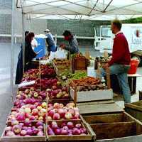 farmers market photo